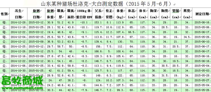 进口背膘仪 猪用背膘仪 背膘测定仪