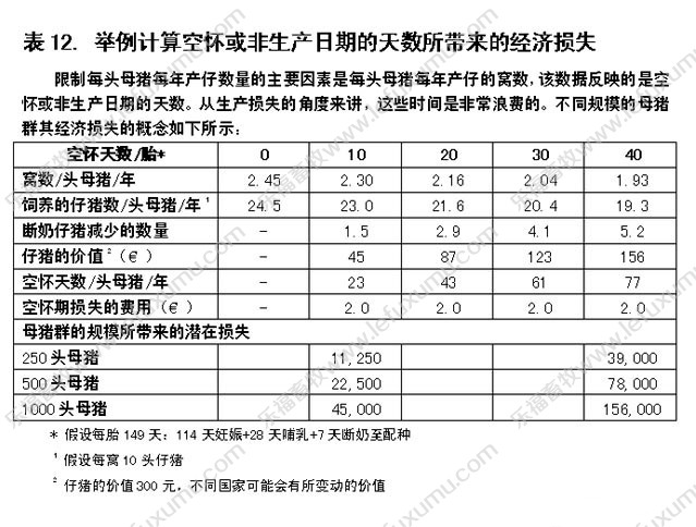 进口兽用B超_母猪B超机_维修兽用B超