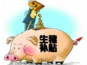 兽用B超_进口B超