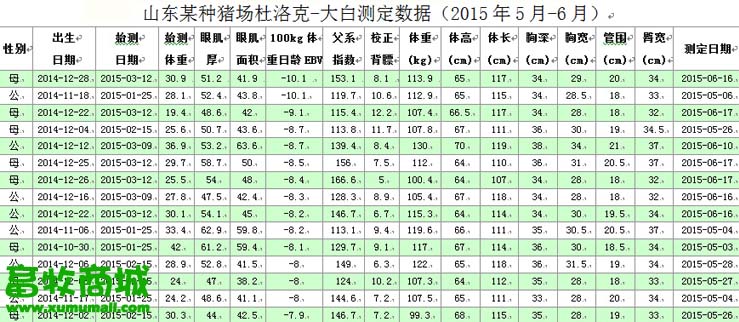 进口背膘仪 猪用背膘仪 背膘测定仪