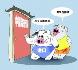 2024年进口猪肉将提升至100万吨