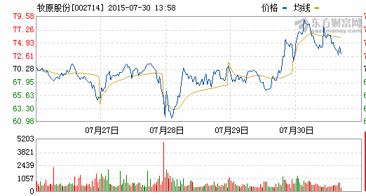 畜牧商城进口兽用B超