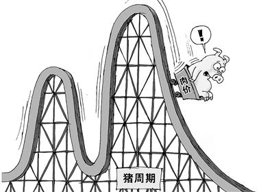 猪肉出栏价跌至近3个月新低 养殖企业下半年业绩承压