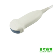 电子微凸探头