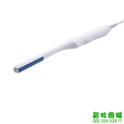 加长型电子直肠探头